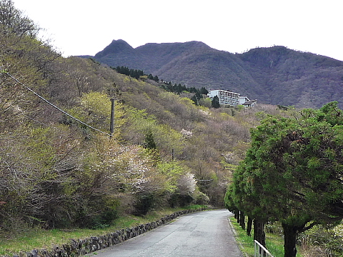 富士・箱根(6) 仙石原高原で見た、お花と・・・キノコ_b0053765_20552344.jpg