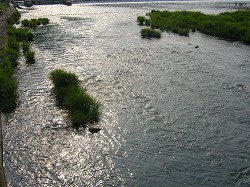 ハイキング：保津峡～金鈴橋～嵐山三船祭_f0163873_1237301.jpg