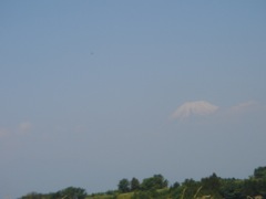 2008年5月20日 あっちこっちと、デスクワーク _b0098584_23522840.jpg