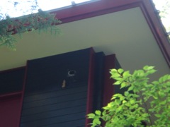 2008年5月20日 あっちこっちと、デスクワーク _b0098584_23545010.jpg