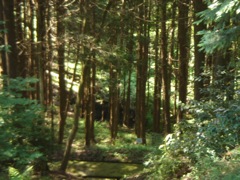 2008年5月20日 あっちこっちと、デスクワーク _b0098584_23571992.jpg