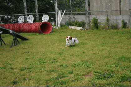 c0075585_0284456.gif