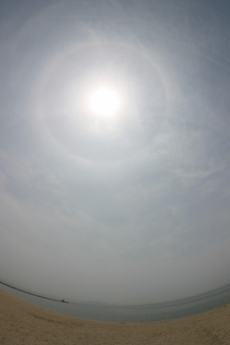 寄島オフ_e0092203_2137101.jpg