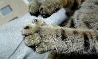 a0100818_2243737.jpg