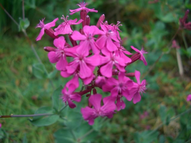 c0138720_14185830.jpg