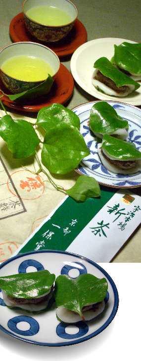 d0043225_151563.jpg