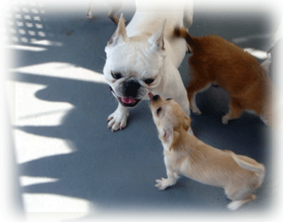b0078030_22575359.gif