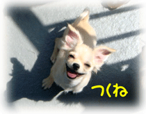 b0078030_230394.gif