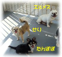 b0078030_234354.gif