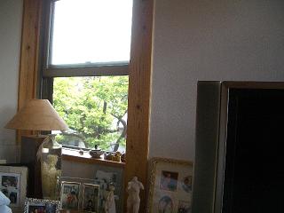 緑を拝借☆_c0152341_83213.jpg