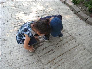 f0102043_21594553.jpg
