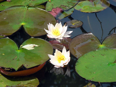 f0086169_142573.jpg