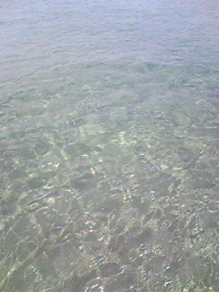 c0047972_16312277.jpg