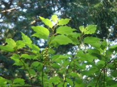 2008年5月20日 あっちこっちと、デスクワーク _b0098584_01181.jpg