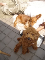 2008年5月20日 あっちこっちと、デスクワーク _b0098584_014352.jpg
