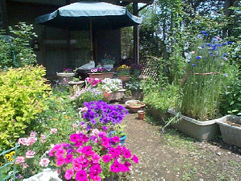 c0049489_23162386.jpg