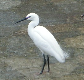 c0108693_2248040.jpg