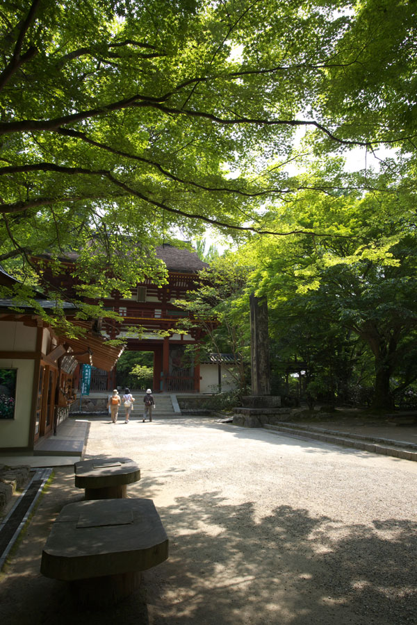 b0043304_1342458.jpg