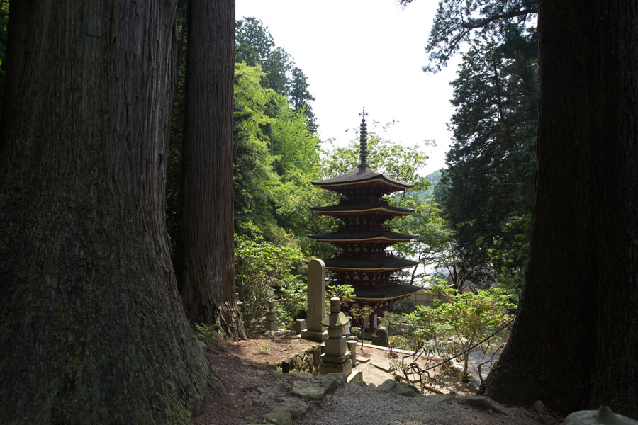 b0043304_211434.jpg