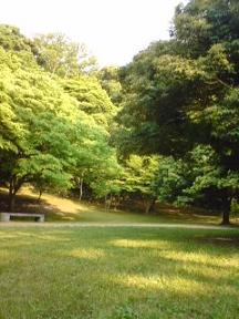 e0111107_17572861.jpg