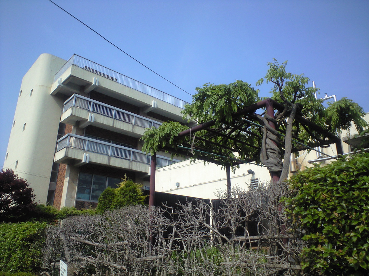 今時の携帯撮影_f0141609_1948483.jpg