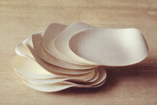 WASARA, disposable plates and cups by Michiyo Tanabe_e0034511_1642584.jpg