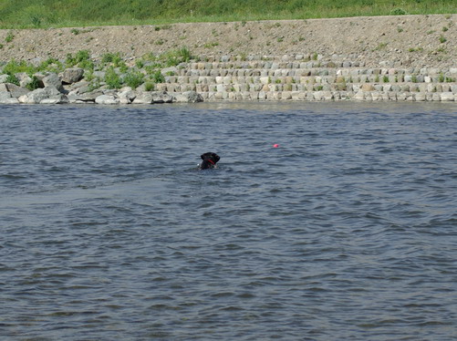 c0101713_15312276.jpg