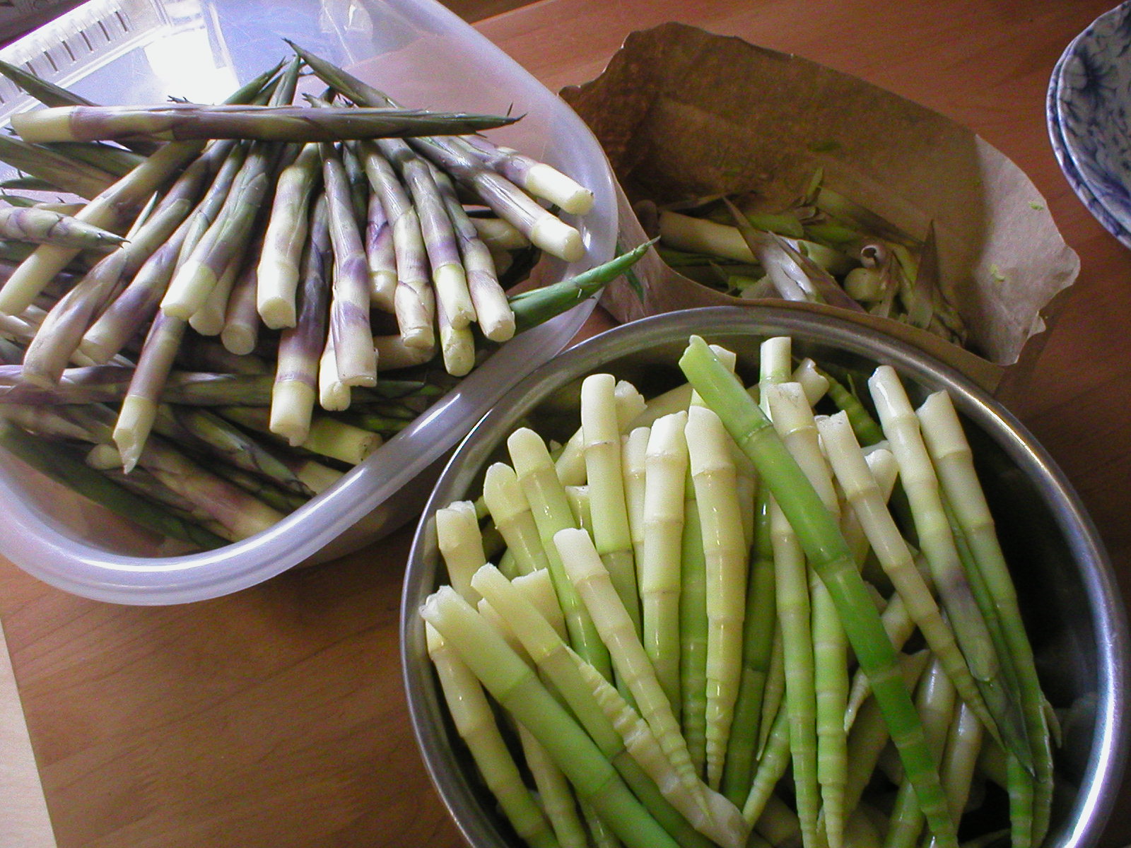 d0132414_2326357.jpg