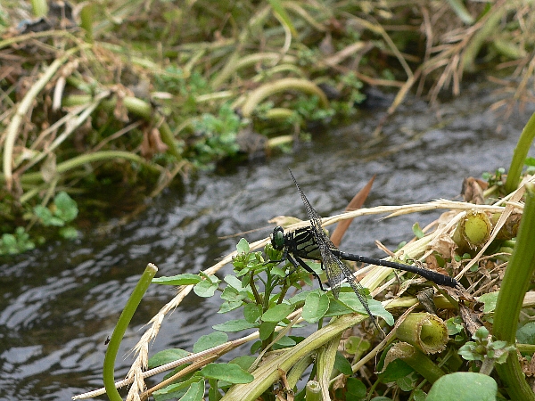 e0002314_16385873.jpg