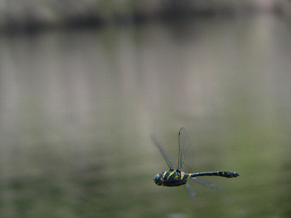 e0002314_16391562.jpg
