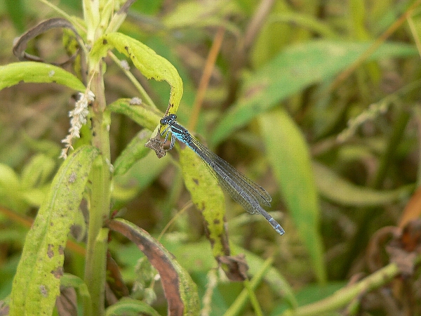 e0002314_1640319.jpg