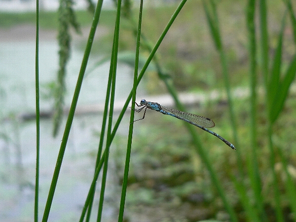 e0002314_16404568.jpg