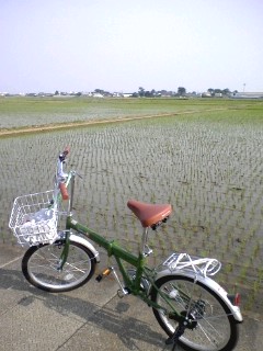 c0034615_1056573.jpg