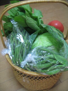 新鮮野菜_f0012317_7115477.jpg