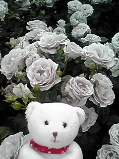 c0147822_07998.jpg
