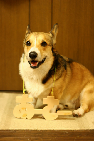 e0071225_18215753.jpg