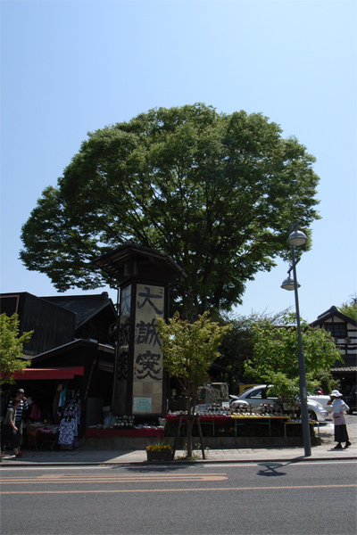 c0070528_2338032.jpg