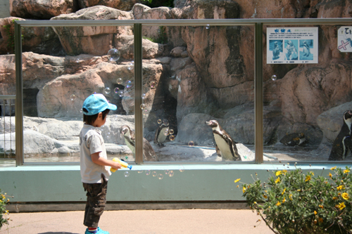 f0130030_82732.jpg