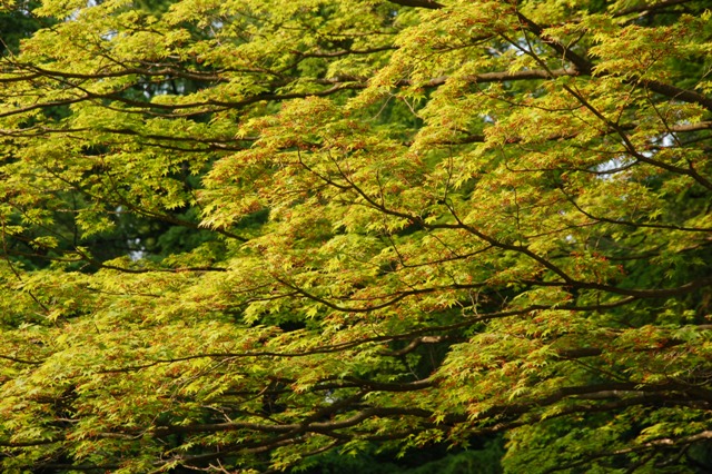 見晴公園の風景_e0054231_2110341.jpg