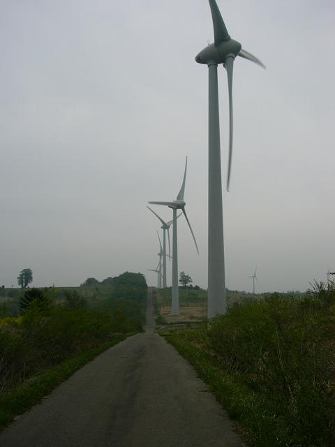 e0146740_21302796.jpg