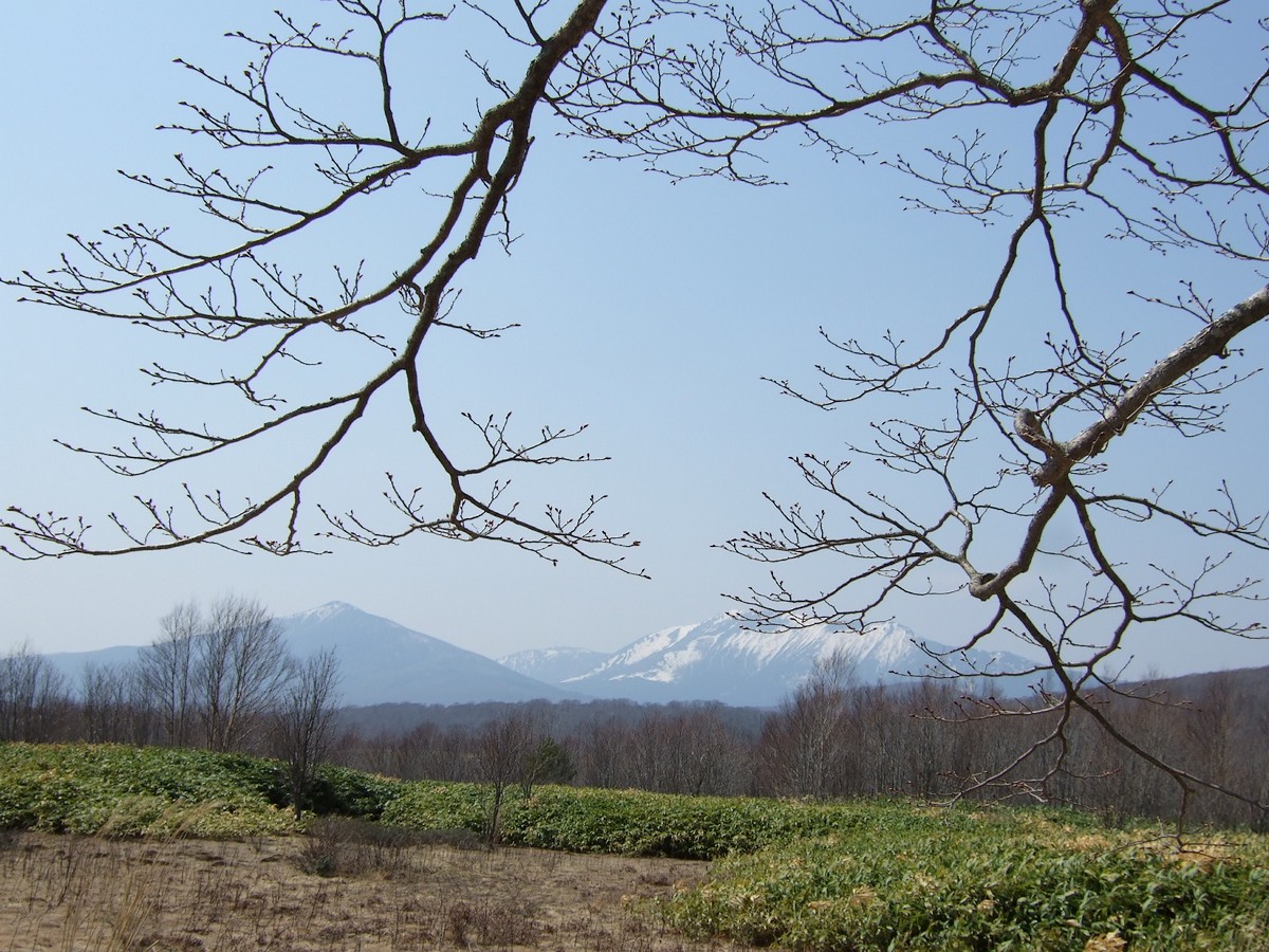 ココロ踊る風景_d0001843_012271.jpg