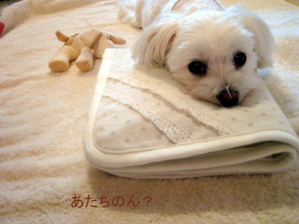 f0087044_03196.jpg
