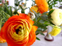 b0117348_12432.jpg