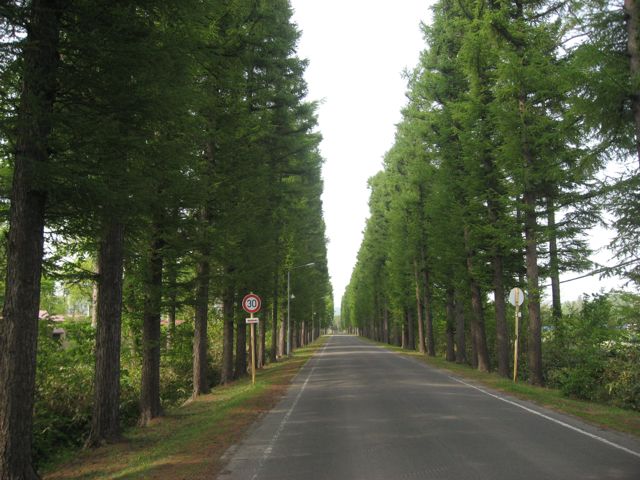 d0081650_1021196.jpg