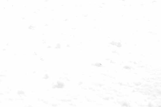 e0126350_11122395.jpg