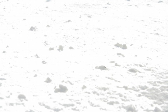 e0126350_11221720.jpg