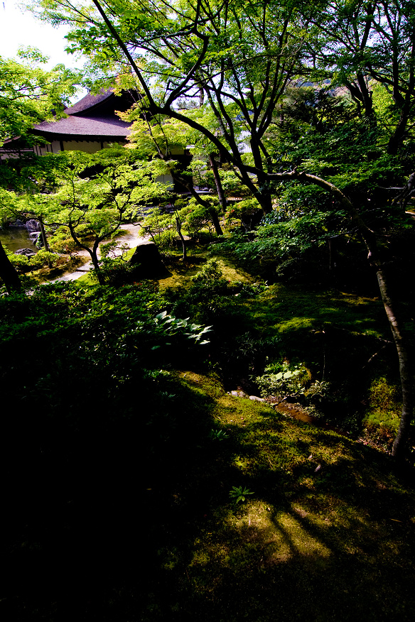 銀閣寺 庭園_d0141053_21183530.jpg