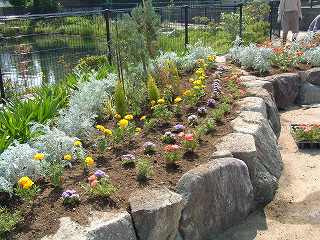 f0062462_1012594.jpg