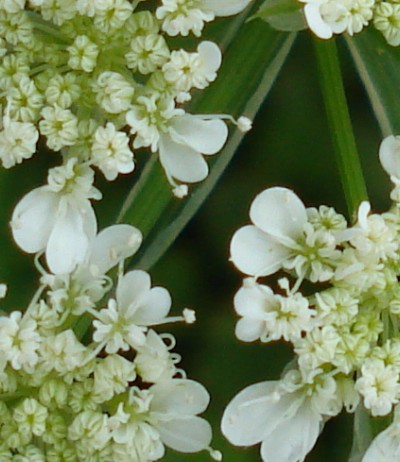 f0165677_94007.jpg
