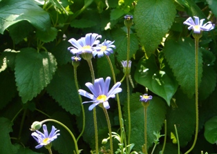 c0135480_0123638.jpg